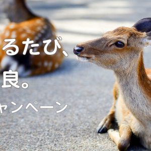 ”Yurutabi” to Nara at your home