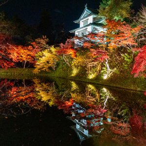 Hirosaki Castle, Chrysanthemums, and Autumn Foliage in Harmony
