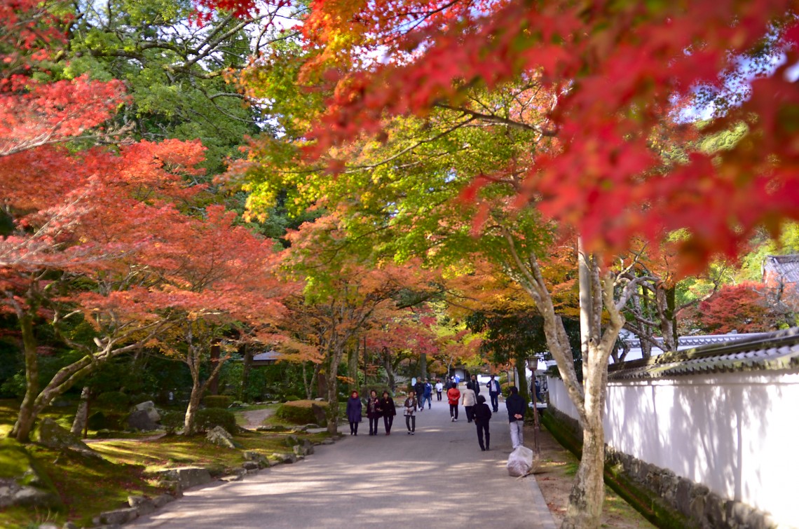紅葉谷公園(連盟)①