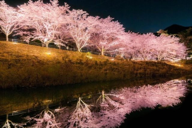 京都_大野ダム公園_サブ2